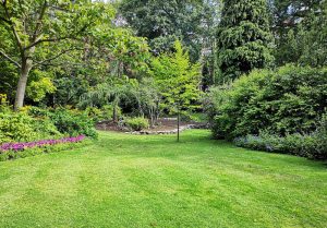 Optimiser l'expérience du jardin à Ban-de-Laveline